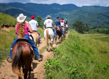 Western North Carolina Mountains, Biltmore Village Inn